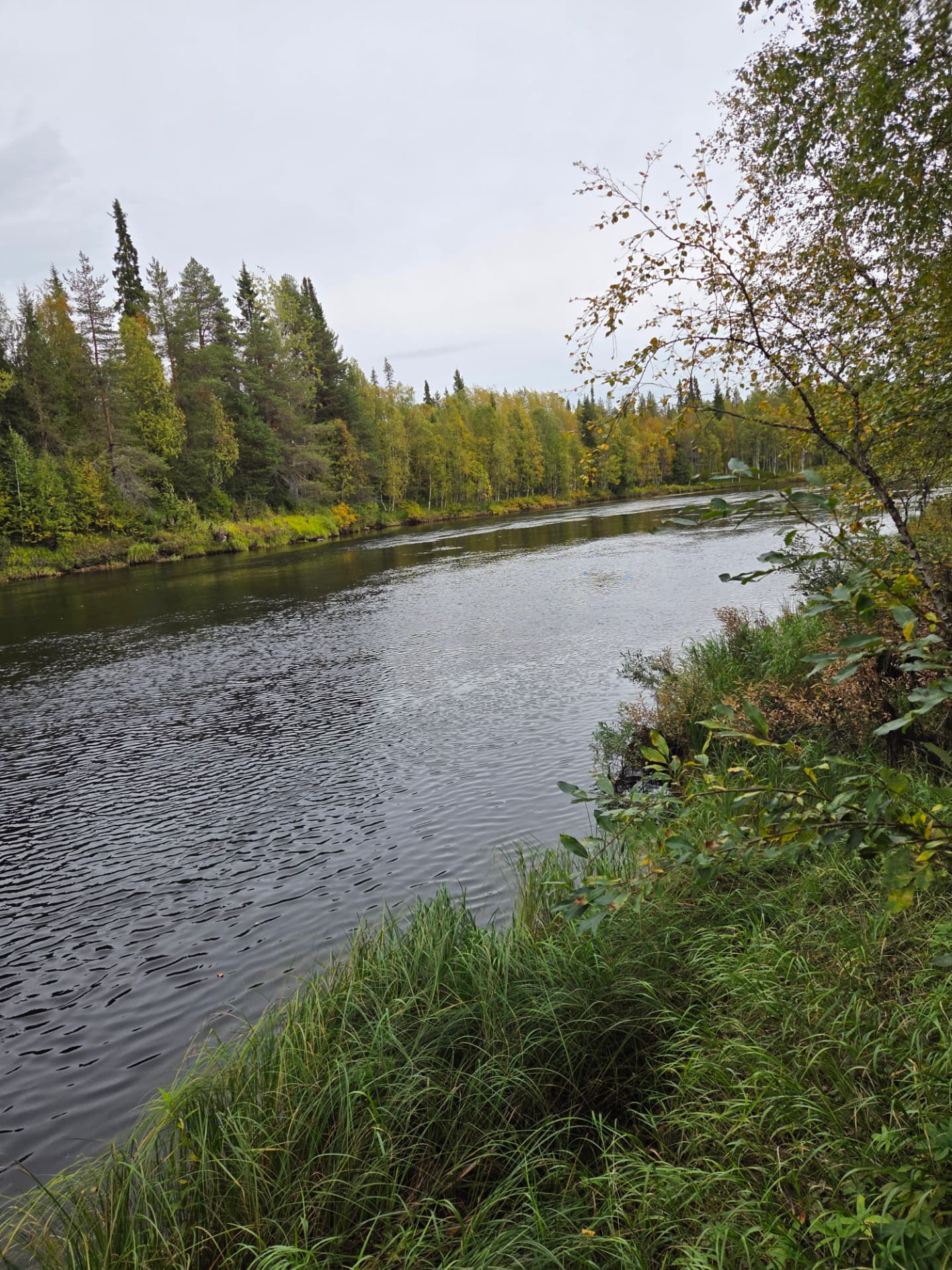Metsästys- ja kalastusmaastoa Naruskassa, Sallassa