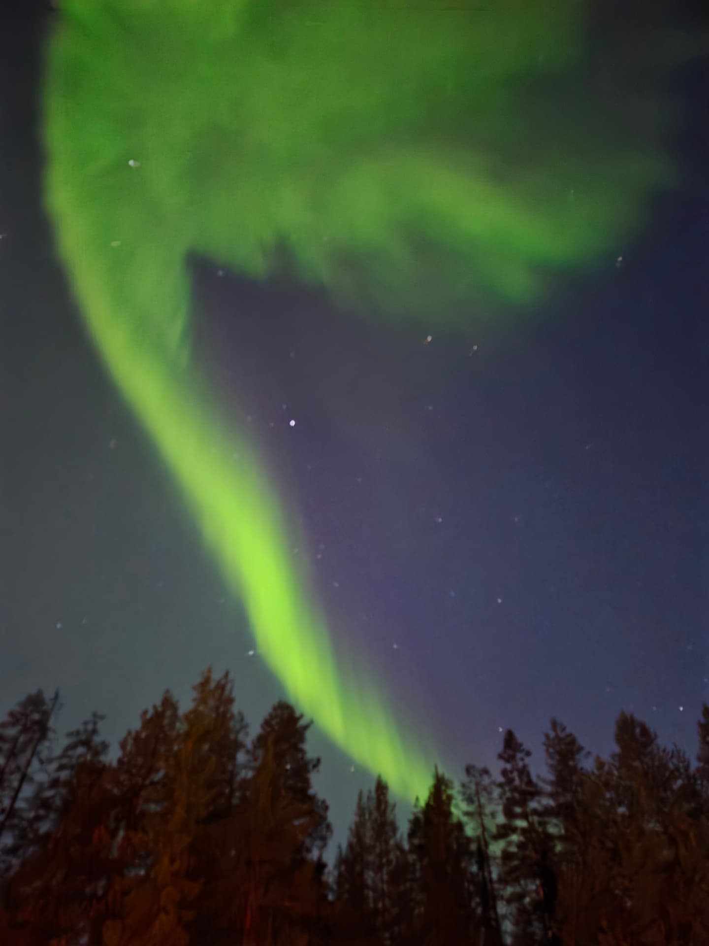 Revontulet talviyössä
